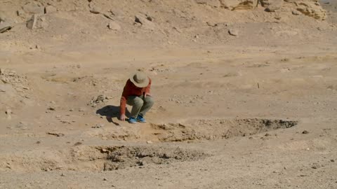 Secrets Unlocked: Series 1_Part 11: Beasts of the Pharaohs