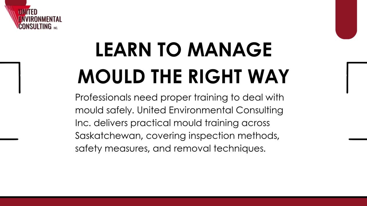 Improve Indoor Air Quality with Professional Mould Services