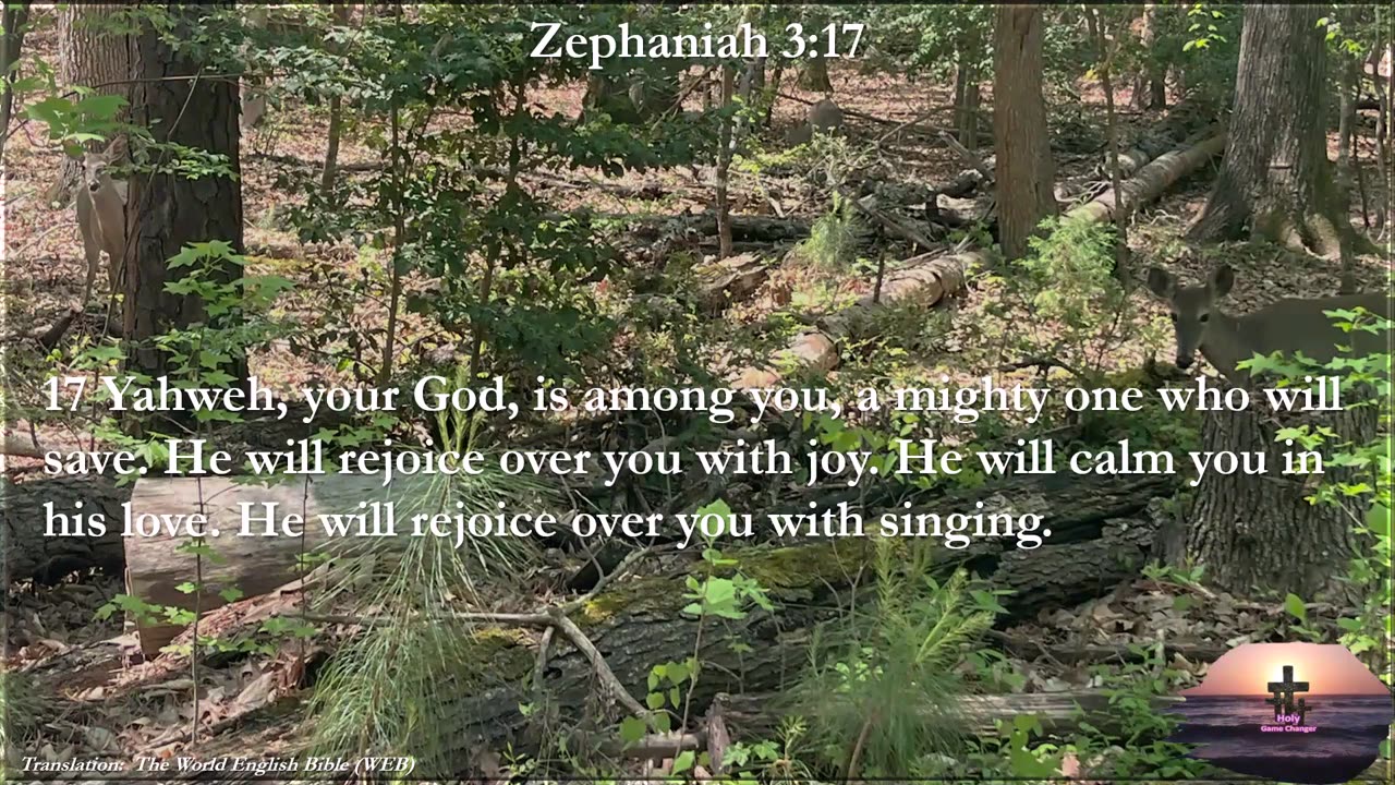 Zephaniah 3:17