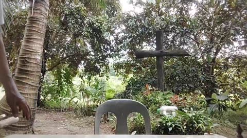 Sunday, 28th September 2025, DWG Sunday School