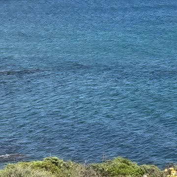 mountains #beachwalk #explorers