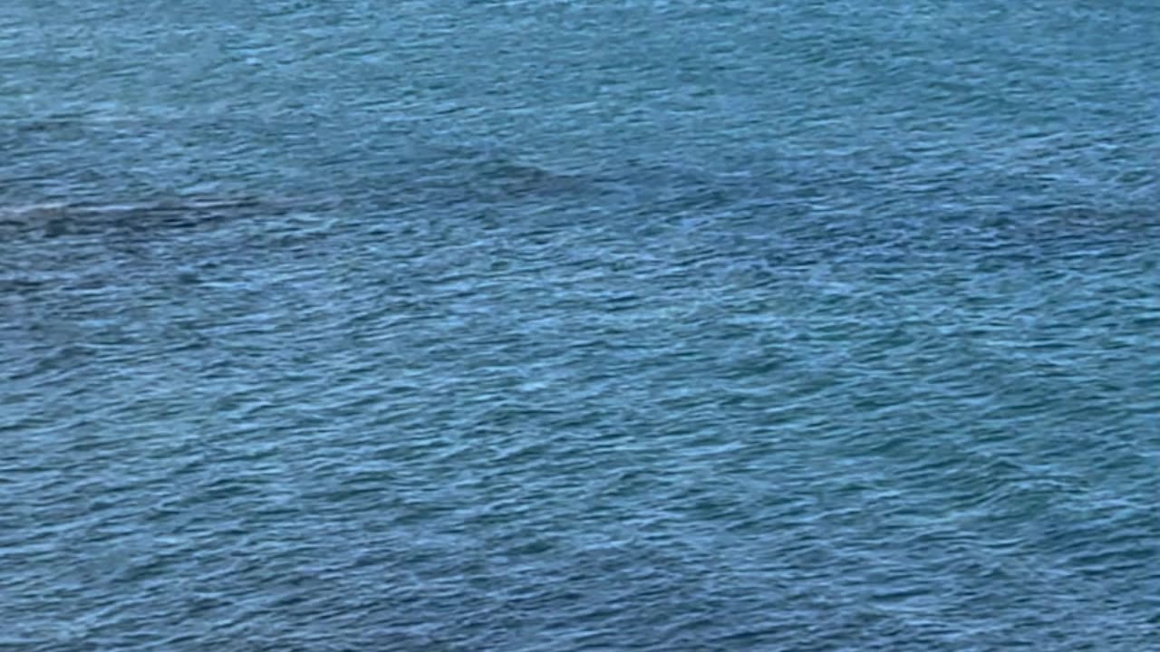 mountains #beachwalk #explorers