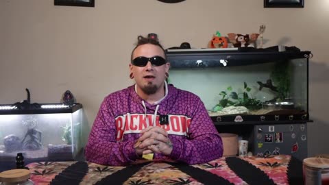 Tip's for increasing your auto flower yield