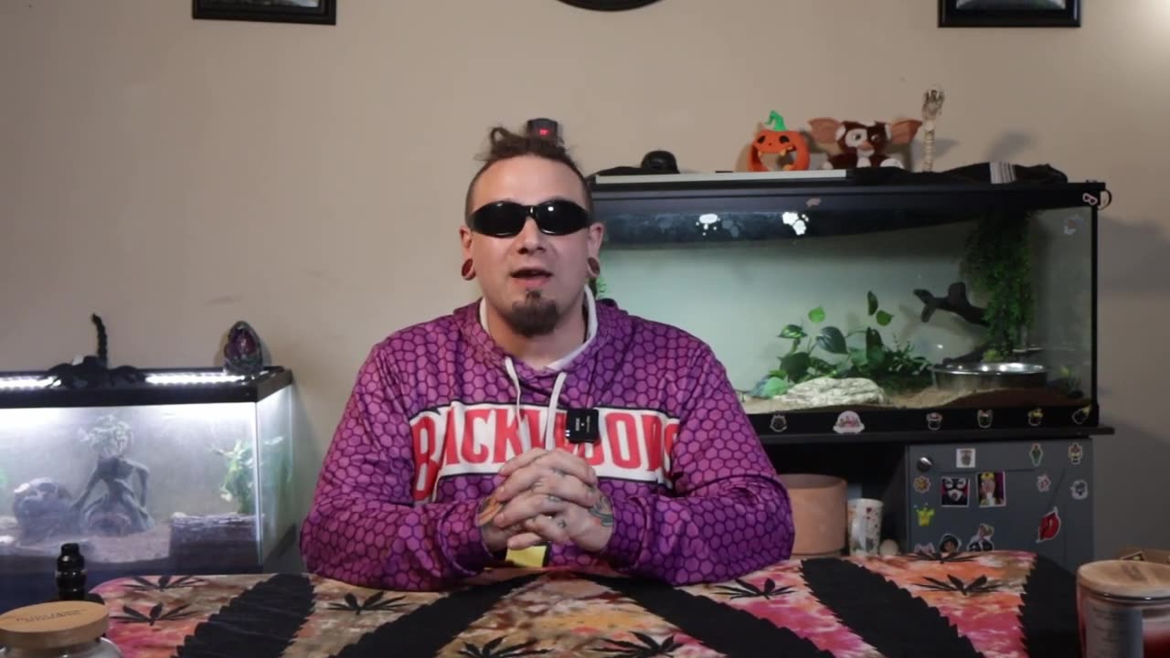 Tip's for increasing your auto flower yield