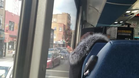 22051 on the 159