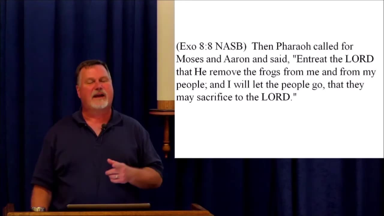 Exodus 8 – If they wish to worship beetles, beetles they will get... 2017
