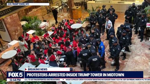 Trump Tower protesters arrested by NYPD