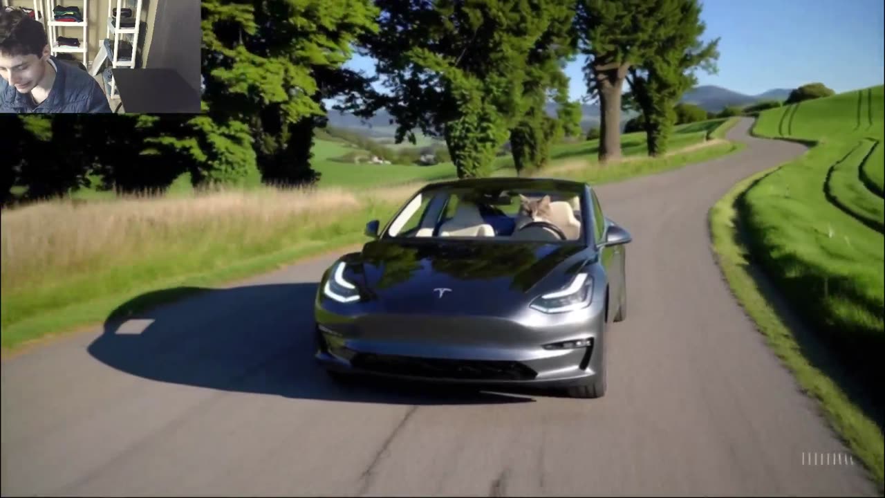 Outtake #1,194 Of The Cat Drives A Tesla Model 3 Car On The Roadway Fake Funny Parody Video