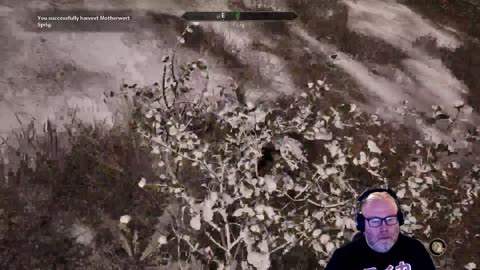 Oblivion Remaster #38