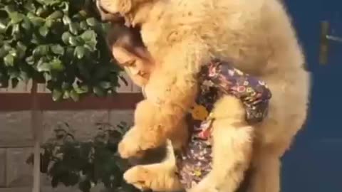 Taking my small pet out for a walk