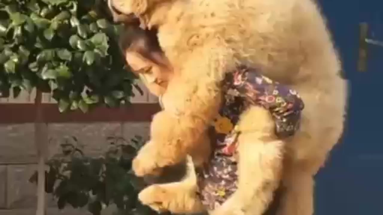 Taking my small pet out for a walk