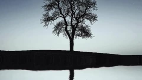 Slō Thoughts | Talk to Yourself Like You Matter - A Self-Kindness Practice