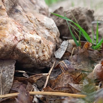 The Harmony of Strength and Fragility