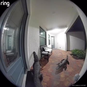 Car broke down and I need to use your phone 😂