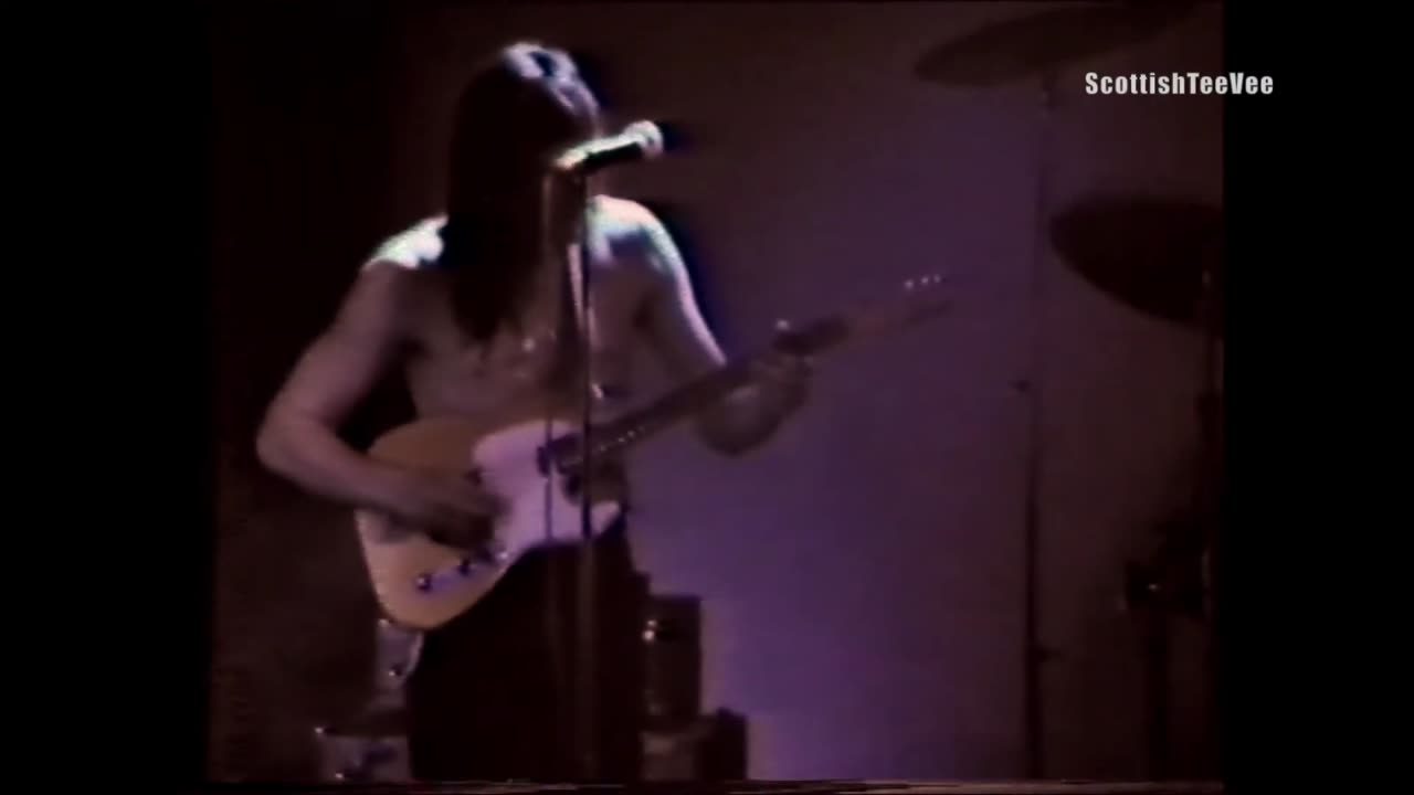 Butthole Surfers Live 1986