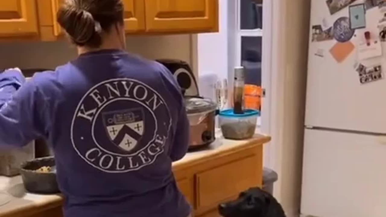 🤣🐾 The Most Epic Lunch Time Jump You’ll See Today! | FunFM
