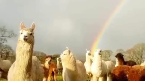 ZDF blamiert sich mit großer WELTUNTERGANGSSHOW! 💥⚡️ | MaiThink X #PolitSatire