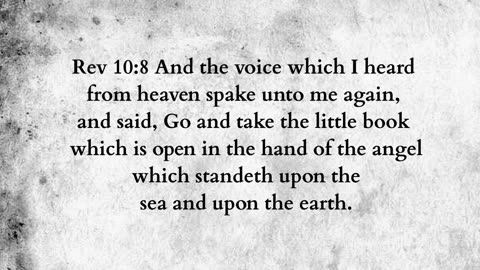 Martus Ministry -351- Honey and lion