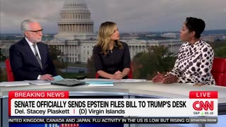 Democrat Stacey Plaskett Admits Epstein Was Pulling Her Strings