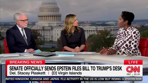 Democrat Stacey Plaskett Admits Epstein Was Pulling Her Strings