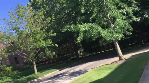 The Park Chained