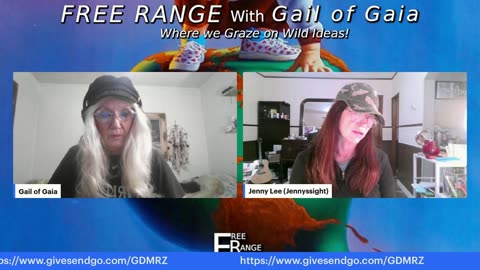 Weekend Video Replays & The Awakening Process