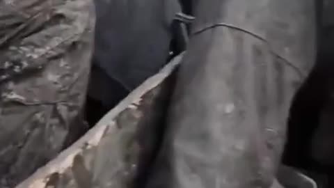 ⚔️🔥 Ukraine Russia War | Frontline Combat Footage from the Ukraine-Russia Conflict | RCF