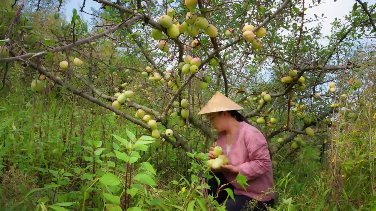 Sour Papaya -A Taste of Nostalgia for Yunnan People (滇西小哥)