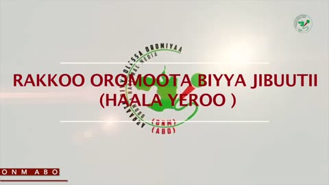 Qophii Adda ONM-ABO Caamsaa 13-2025 itti dhiyaadhaa!