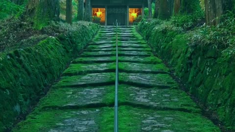 beautifull spot japan