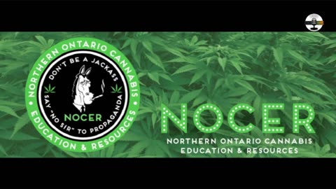 NOCER- Northern Ontario Cannabis Education & Resurces