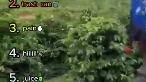 Incredible: Top 5 Best Cut-Off Moments (2). #funny #memes #cutoff #shorts