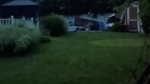 Lightning Bugs 1