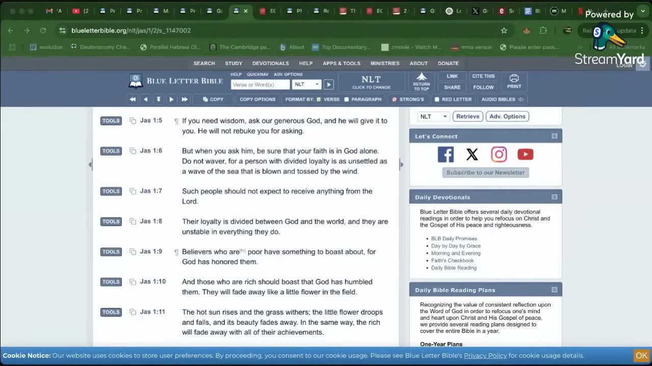 THOUGHTS, BEHAVIORS, CIRCUMSTANCES & MINDSET