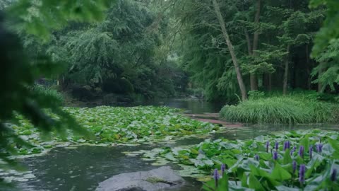 The beautiful little river is raining