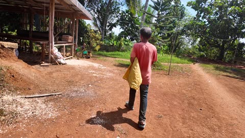 Noni Shows Me A Palm Heart That Can Be Harvested For Jungle Survival, Philippines Eden