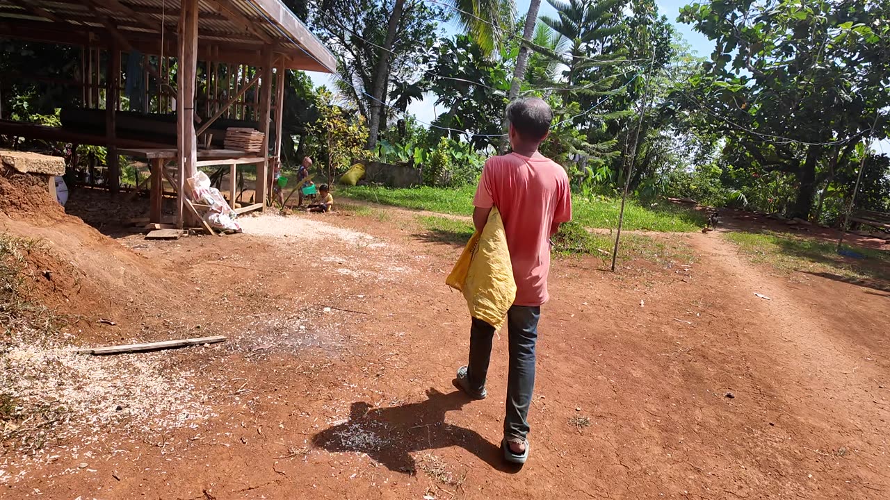 Noni Shows Me A Palm Heart That Can Be Harvested For Jungle Survival, Philippines Eden