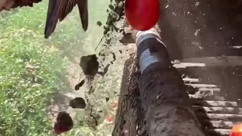 Great harvesting invention