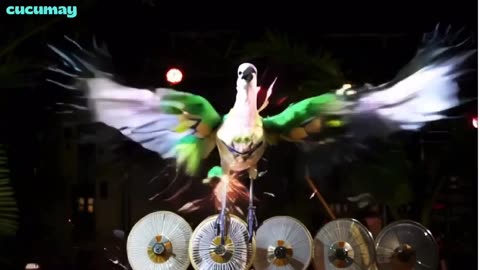 Bali Starling Becomes a Singer