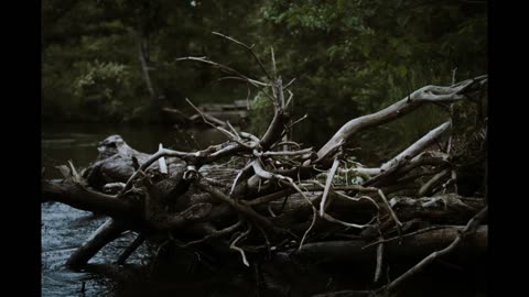 Lord Winter - Deadwood