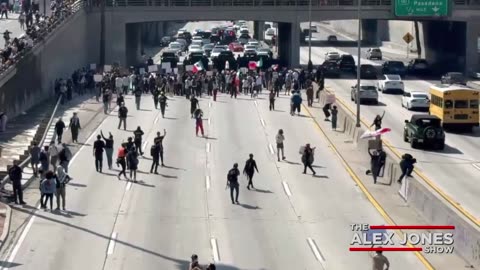 Dr. Naomi Wolf Warns NGO's Working With CCP To Trigger Civil War & Collapse US