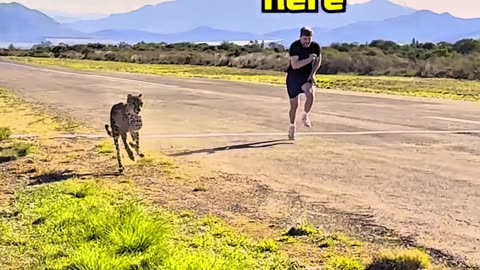 Will Mr. Beast beat Chita