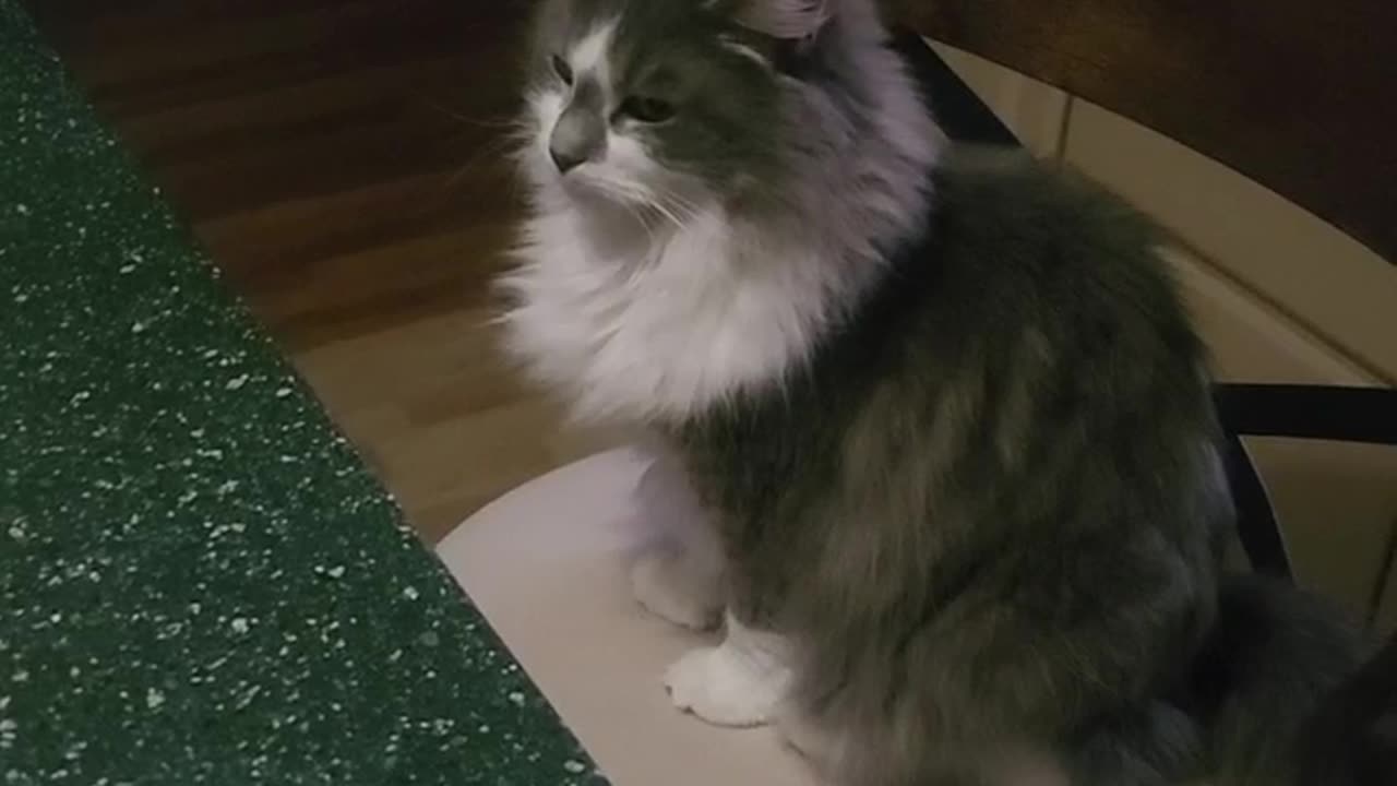 Quinnie being presumptuous