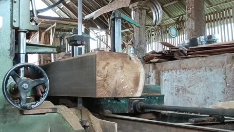 Cutting large and valuable teak wood into valuable planks