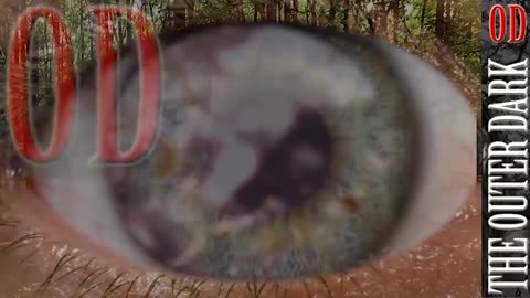 30 Things We Know about PizzaGate #JohnPodesta #CometPingPong #PizzaGate