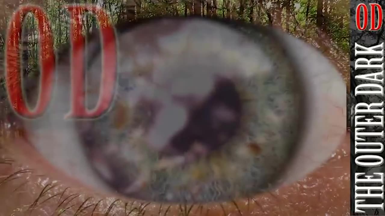 30 Things We Know about PizzaGate #JohnPodesta #CometPingPong #PizzaGate