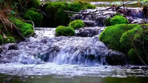 Flowing Stream & Forest Ambience for Deep Sleep & Relaxation