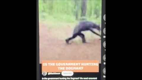 Un jeune homme-chien courant dans les bois, selon des images divulguées par le gouvernement