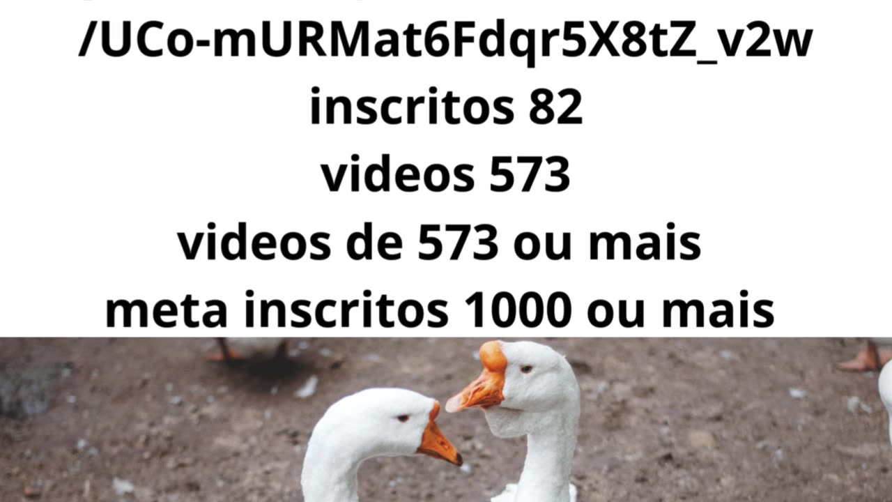 planeta selvagen 2 (3).mp4