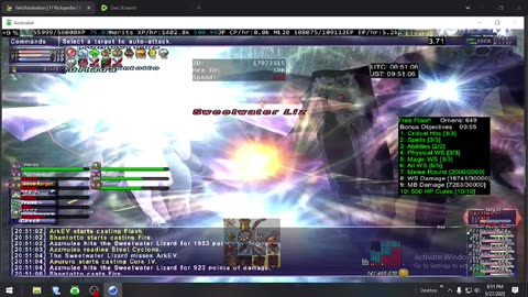 Playing Final Fantasy XI Online
